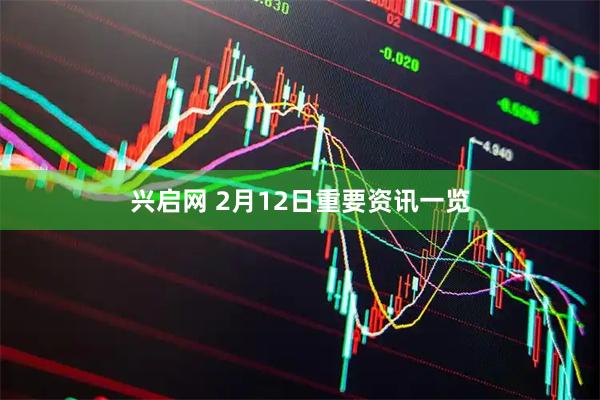 兴启网 2月12日重要资讯一览