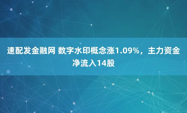 速配发金融网 数字水印概念涨1.09%，主力资金净流入14股