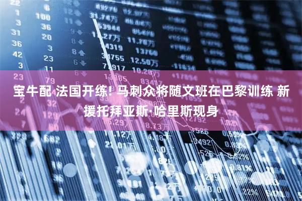 宝牛配 法国开练! 马刺众将随文班在巴黎训练 新援托拜亚斯·哈里斯现身